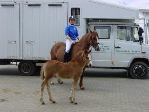 Pia Wieczorek auf Seaside Starlet und ihrem Stutfohlen Ponyland Snowflake 18.04.08