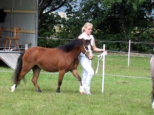 ihr brragender Schritt hat sie ganz nach vorne gebracht- Raja an der Hand von Pia Wieczorek