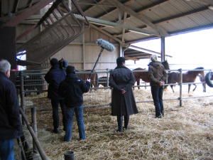 Das Fernsehteam vom NDR im Laufstall vom Ponyland