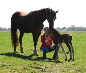 Ein Sonntagskind - Ponyland Hooch